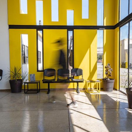 Check Inn Hostal Aeropuerto Gdl Las Pintas 外观 照片