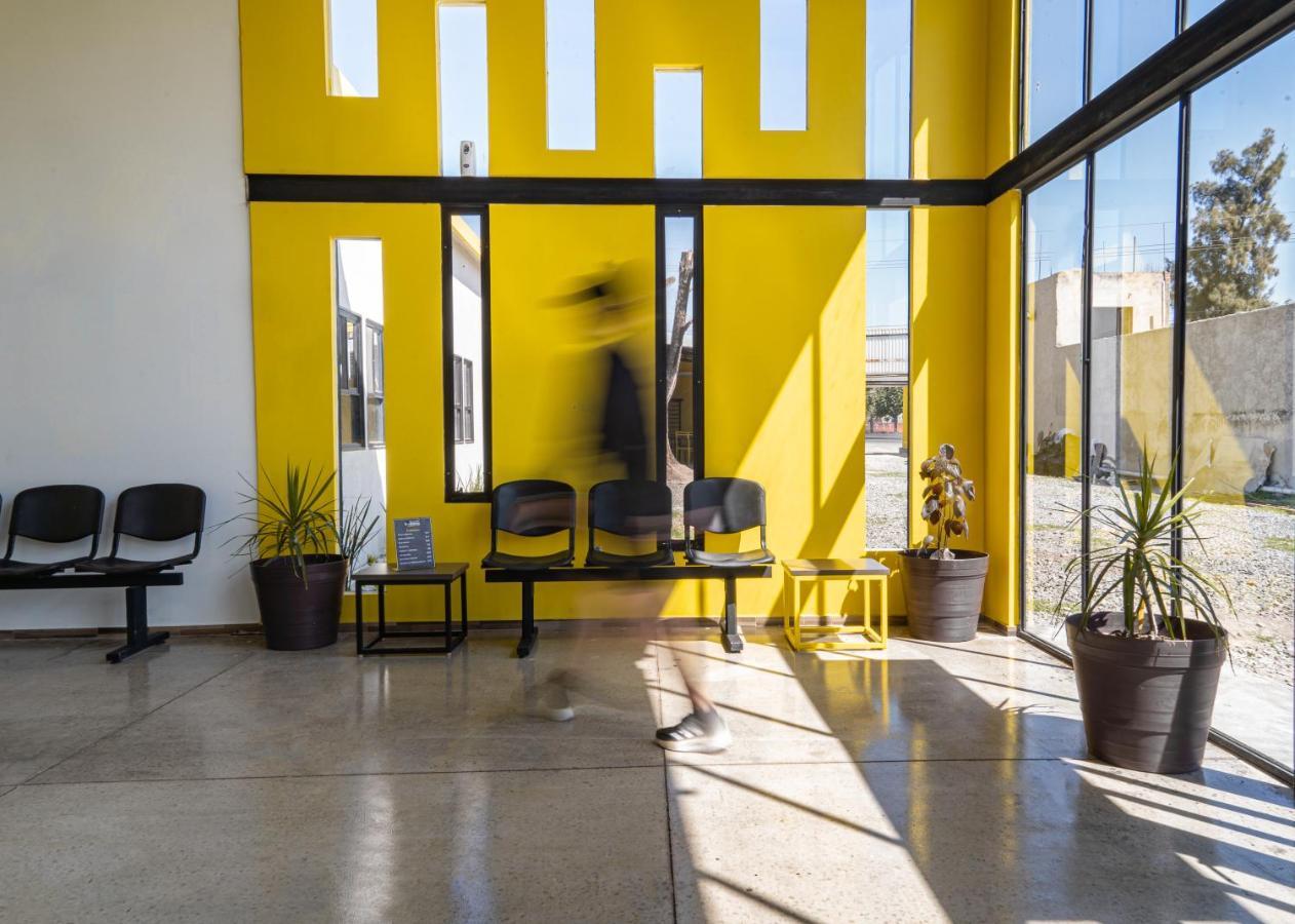 Check Inn Hostal Aeropuerto Gdl Las Pintas 外观 照片